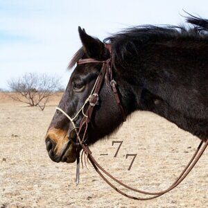 Handmade Round Nose Lariat Rope "Cowboy Cavesson" - Western Horse Training